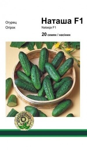 Огірок «Наташа» F1 20 насінин, А Семініс (Seminis) Огірок «Наташа» F1 20 насінин, А Семініс (Seminis)