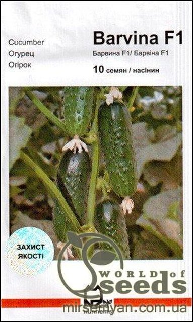 Огірок «Барвіна» F1 10 насінин, Нунемс (Nunhems) Огірок «Барвіна» F1 10 насінин, Нунемс (Nunhems)