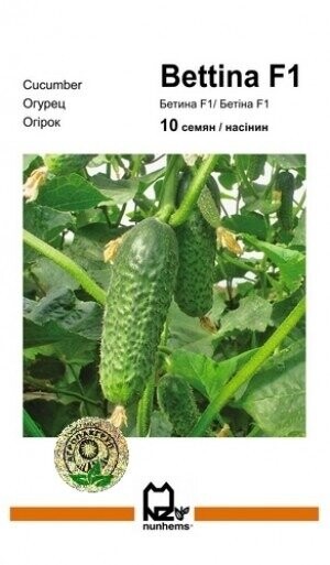 Огірок «Бетіна» F1 10 насінин, Нунемс (Nunhems) Огірок «Бетіна» F1 10 насінин, Нунемс (Nunhems)