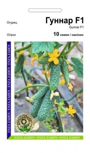 Огірок «Гуннар» F1 10 насінин, А Enza Zaden Огірок «Гуннар» F1 10 насінин, А Enza Zaden