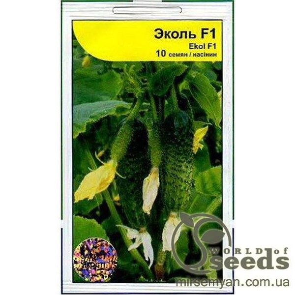 Огірок «Еколь» F1 10 нас, А (Syngenta) Огірок «Еколь» F1 10 нас, А (Syngenta)