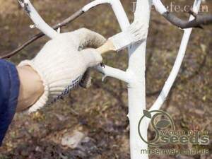 Побілка садова 0,5 кг. Побілка садова 0,5 кг.