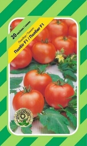 Томат Томат