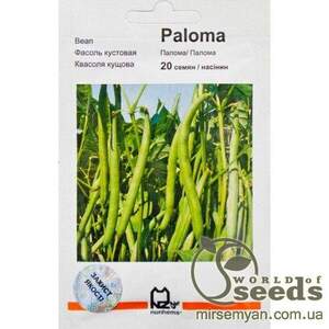 Квасоля "Палома" 20 насінин, А Нунемс (Nunhems) Квасоля "Палома" 20 насінин, А Нунемс (Nunhems)
