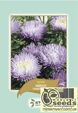 Астра Астра