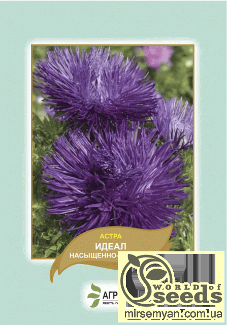 Астра Астра