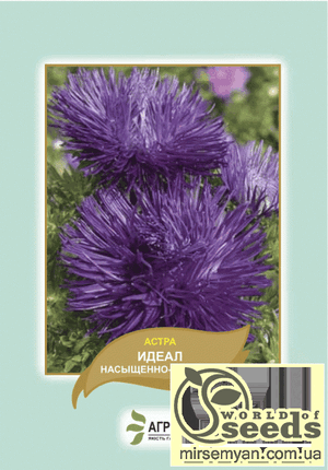 Астра "Ідеал" насичено-лілова, 0,1 г А