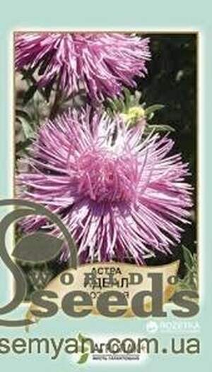 Астра Астра