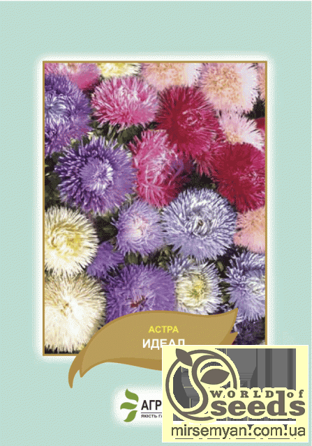 Астра Астра