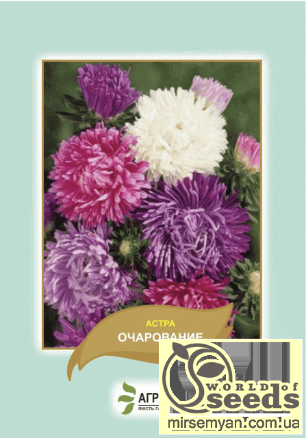 Астра Астра