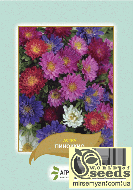 Астра Астра