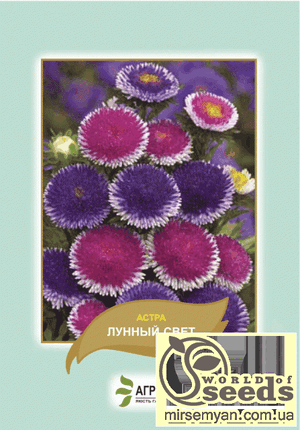 Астра Астра