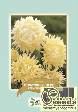 Астра Астра