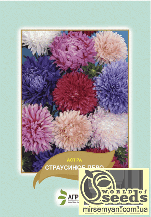 Астра "Страусине перо", суміш, 0,5 г А Астра "Страусине перо", суміш, 0,5 г А