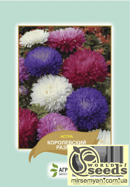 Айстра Айстра