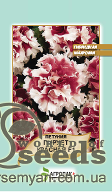 Петунія гібридна махрова Петунія гібридна махрова