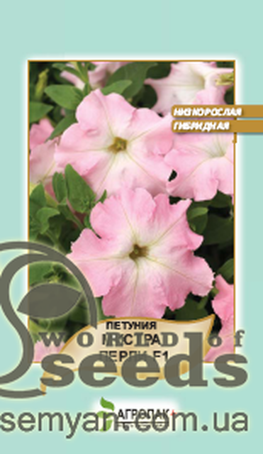 Петунія гібридна великоквіткова, низькоросла "Містрал Перлі" F1 20 насінин А Петунія гібридна великоквіткова, низькоросла "Містрал Перлі" F1 20 насінин А
