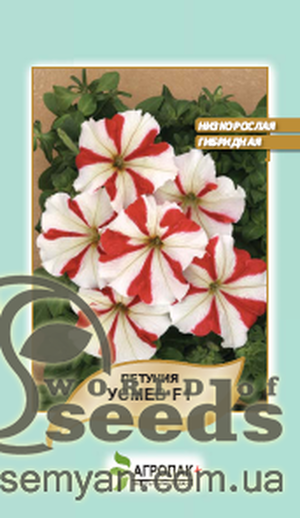 Петунія гібридна крупноквіткова, низькоросла "Усмів" F1 10 насінин А