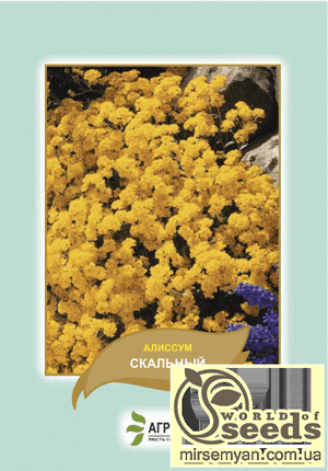 Насіння алісум "Скельний", 3 г А