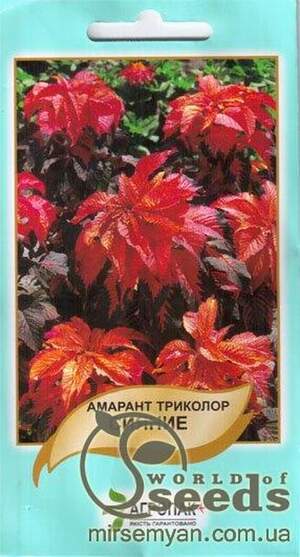 Насіння амаранту триколор, "Сяйво" 0,1 г А Насіння амаранту триколор, "Сяйво" 0,1 г А