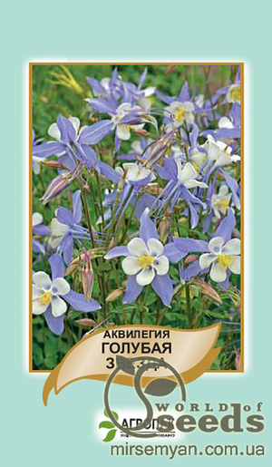 Насіння аквілегії гібридної "Блакитна зірка" 0,2 г А Насіння аквілегії гібридної "Блакитна зірка" 0,2 г А