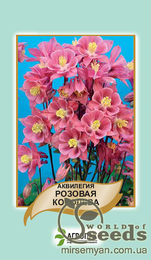 Насіння аквілегії гібридної "Рожева королева" 0,2 г А