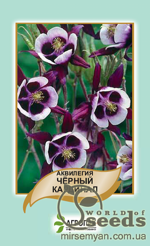 Насіння аквілегії звичайної "Чорний кардинал" 0,1 г