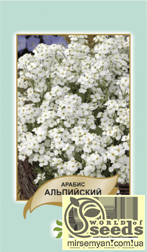 Насіння арабісу "Альпійський" білий, 3 г А