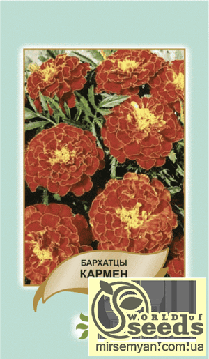 Насіння чорнобривців відхилене "Кармен" 5 г А Насіння чорнобривців відхилене "Кармен" 5 г А