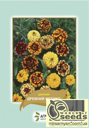 Насіння циннію Насіння циннію