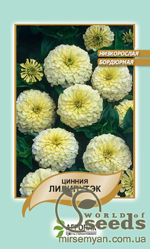Насіння цинні витончене "Ліліпутек", біле 0,2 г А Насіння цинні витончене "Ліліпутек", біле 0,2 г А