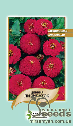 Насіння цинні витончене Насіння цинні витончене