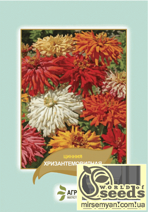 Насіння цинні витончене "Хризантемовидне", суміш 0,5 г А Насіння цинні витончене "Хризантемовидне", суміш 0,5 г А