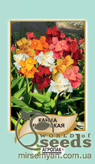 Насіння Насіння