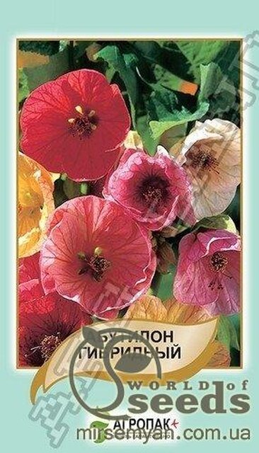 Насіння Насіння