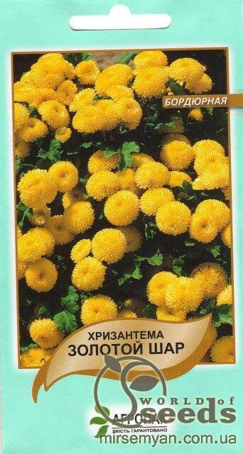 Насіння хризантеми  Насіння хризантеми