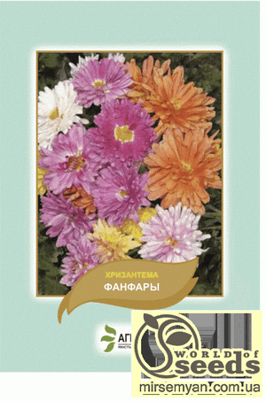 Насіння хризантеми індійської "Фанфари", суміш 0,1 г А