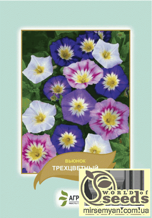 Насіння в'юнка "Трьохвітний", суміш 1 г А