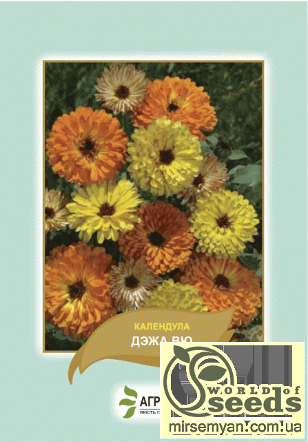 Насіння календули Насіння календули