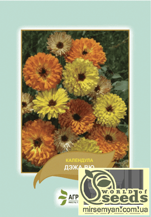 Насіння календули Насіння календули