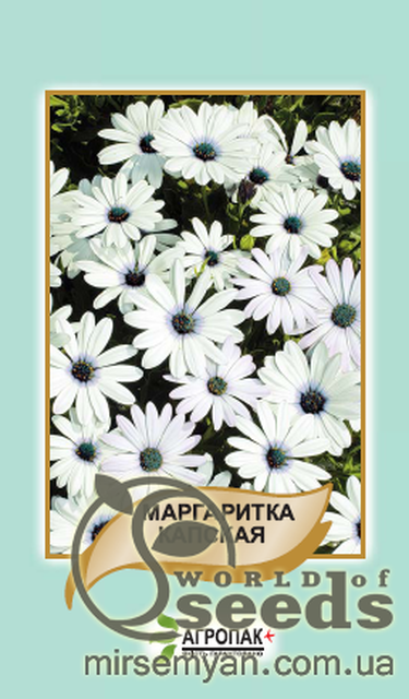 Насіння маргаритки капської, 20 насінин А Насіння маргаритки капської, 20 насінин А