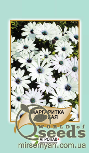 Насіння маргаритки капської, 20 насінин А Насіння маргаритки капської, 20 насінин А