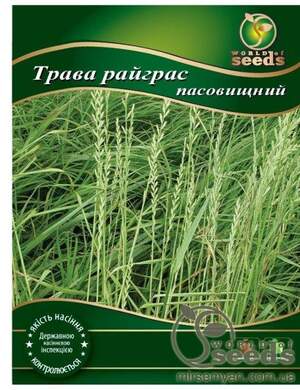 Насіння "Райграс пасовищний" (багаторічний) 0,5 кг