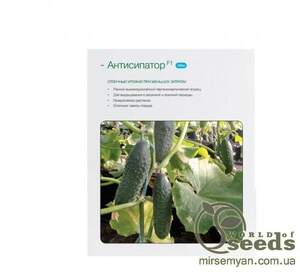 Огірок «Антисипатор» F1 500 с. Нунемс (Nunhems) НОВИНКА СЕЗОНУ 2017-2018