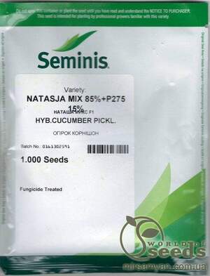 Огірок «Наташа» F1 1000 насінин, Семініс (Seminis)