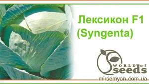 Насіння капусти "Лексикон F1", 2500сім. (Syngenta)