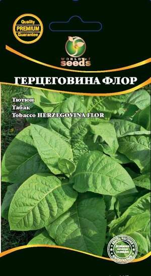 Насіння тютюну "Герцеговина Флор" 0,05 гр. (550-600 сем.) WoS