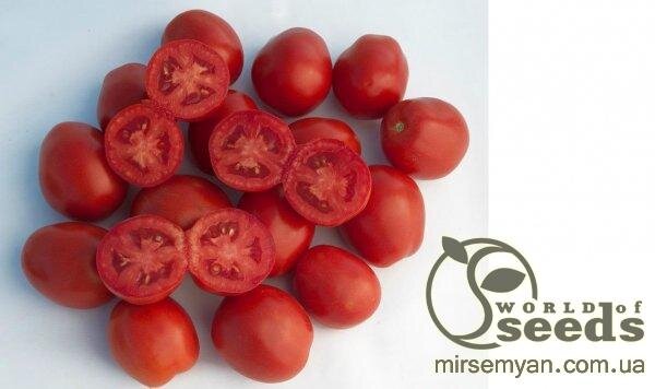 Томат Суомі F1 (Драже) 2500 нас. (Syngenta) Томат Суомі F1 (Драже) 2500 нас. (Syngenta)