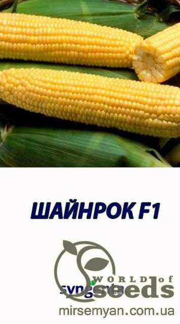 Кукурудза цукрова Шайнрок F1 100000 насінин (Syngenta) Кукурудза цукрова Шайнрок F1 100000 насінин (Syngenta)