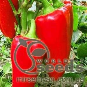 Перець солодкий Любов F1 500 насінин, (Syngenta) Перець солодкий Любов F1 500 насінин, (Syngenta)